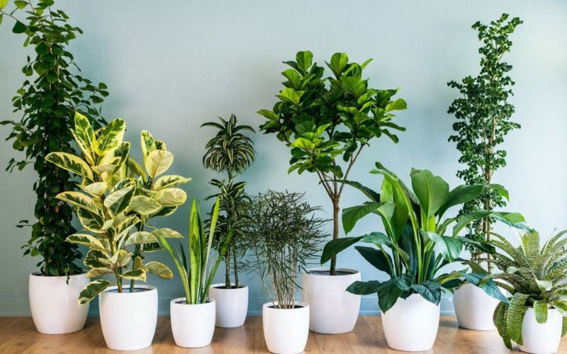 cách làm giảm độ ẩm trong phòng